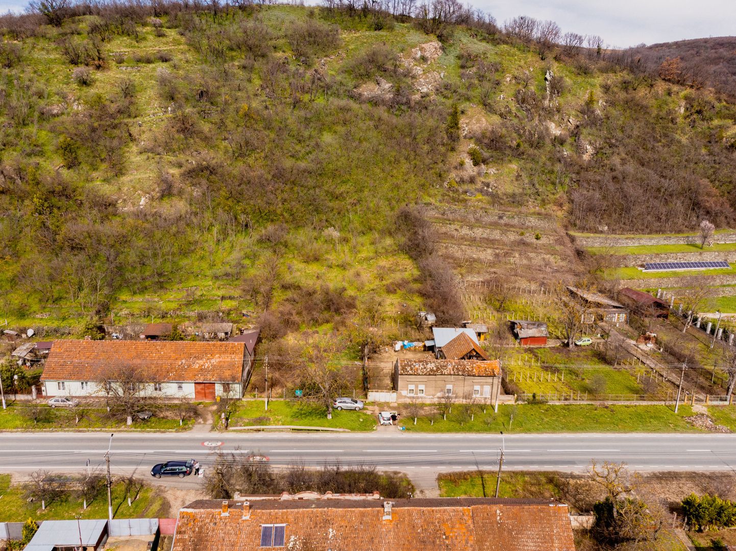 Teren Intravilan Pauliș - Poză 3