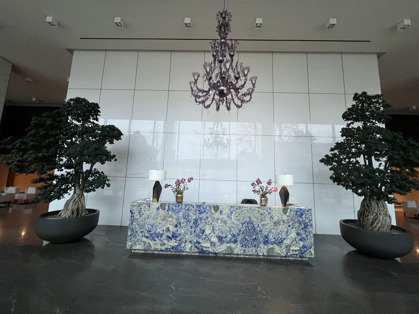 5 camere Lux Rahmaninov Residence vedere Parc Verdi - Poză 37