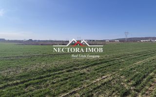 NECTORA IMOB-Teren Intravilan 537 mp, Zona Solay, 250 m de asfalt - Poză 5