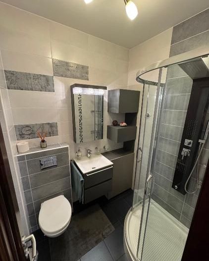 Apartament 3 camere complet utilat/mobilat Decebal/Alba Iulia - Poză 5