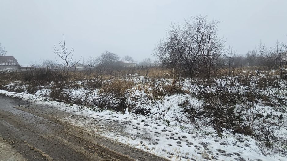 Exclusivitate MAG Invest – Teren 2300 mp Vanatori, ideal investitie - Poză 4