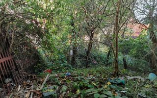 Casa singur in curte zona ZONA ISTORICA langa Seminarul Teologic - Poză 8