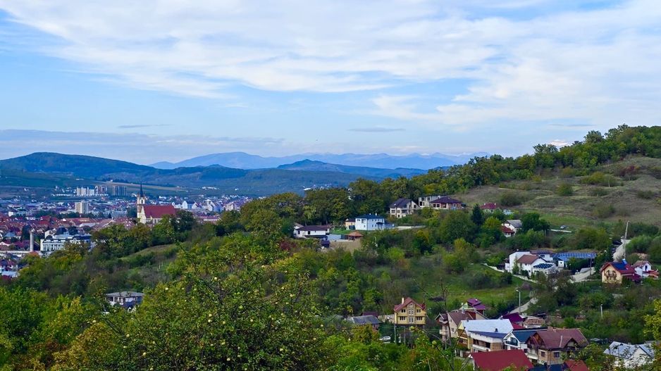 Teren de vanzare,16000 mp - parcelabil, 3 minute de centru! - Poză 7