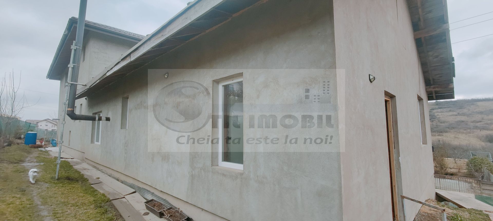 IASI VISAN BUCIUM CASA DUPLEX LA STRADA - Poză 2