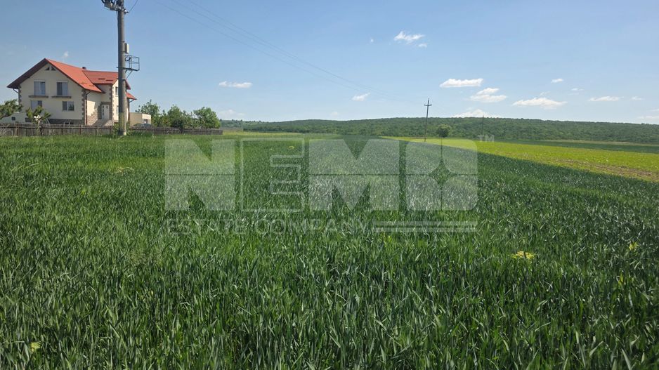 TEREN EXTRAVILAN | MITOCU DRAGOMIRNEI | 2.600 Mp - Poză 4