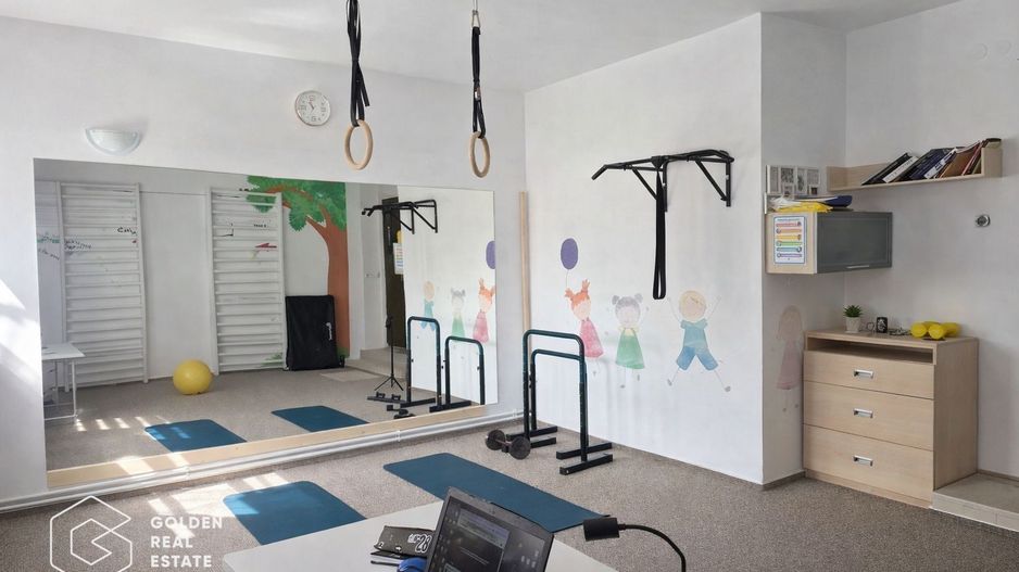 Vilă exclusivistă cu funcțiuni mixte, în Sânandrei- potențial investițional - Poză 11