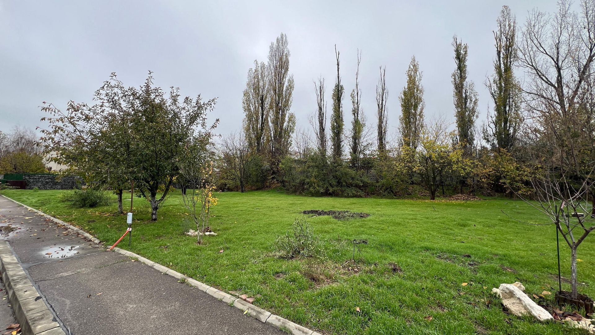 1176 mp | Teren liber | Ideal locuinta | Zona pazita |Pret Promotional - Poză 6