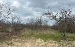 Teren intravilan cu PUZ aprobat 33.683 mp – Săftica/Balotești – deschidere DN1 - Poză 19