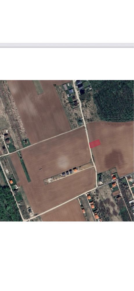 Lot 800 mp teren Ciofliceni Snagov - Poză 1