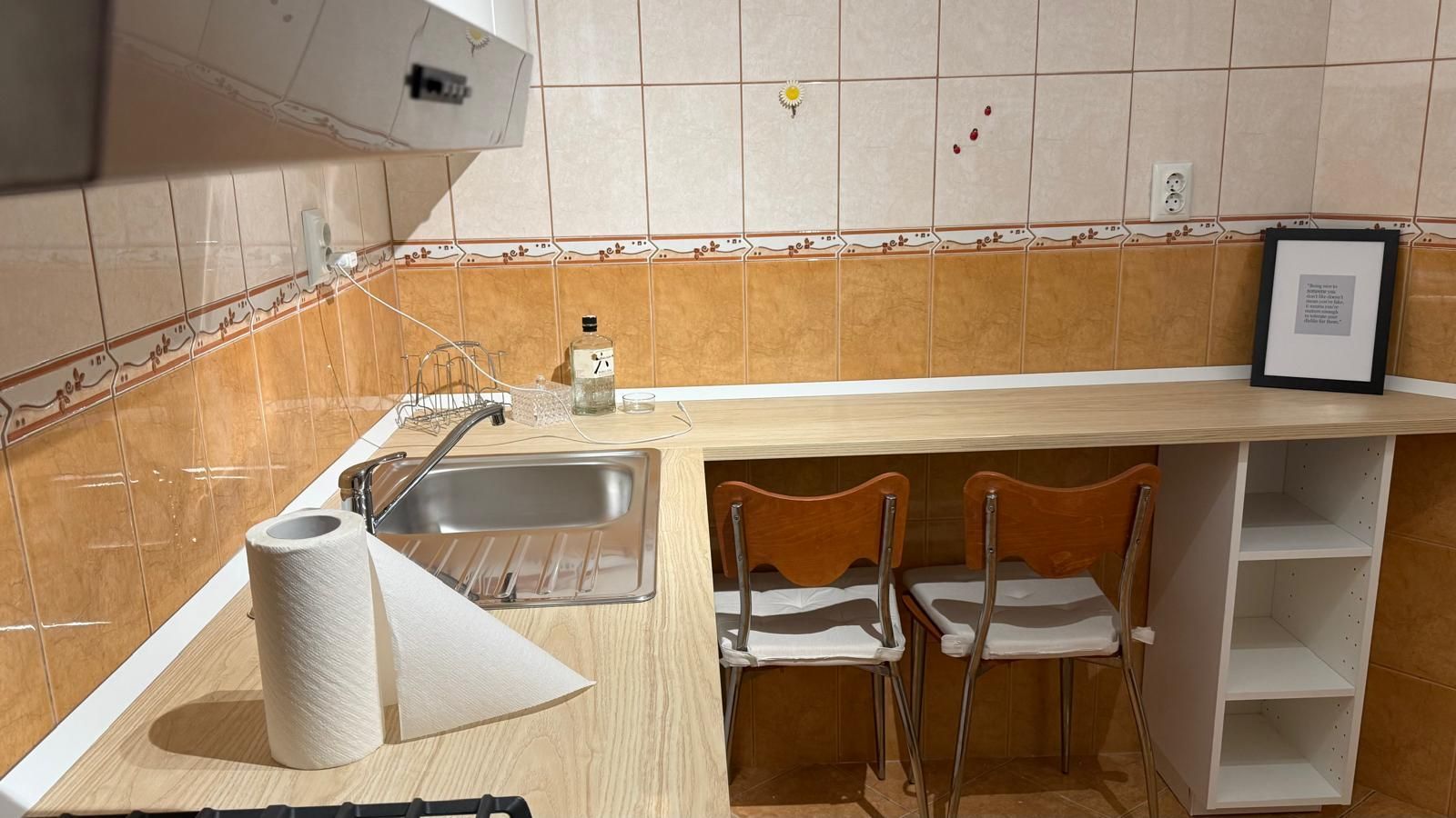 AP. 3 CAMERE BASARAB, PET-FRIENDLY, RENOVAT, REABILITAT, BOILER - Poză 8