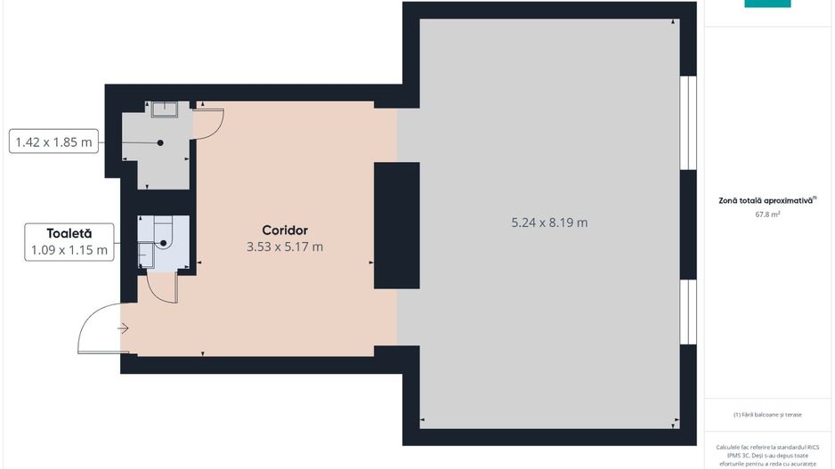 Proprietate de prestigiu în centrul Aradului - Poză 5