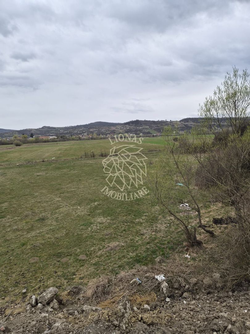 Teren 1000 mp-Oportunitate de Investitie-Zona Aerodrom - Poză 3