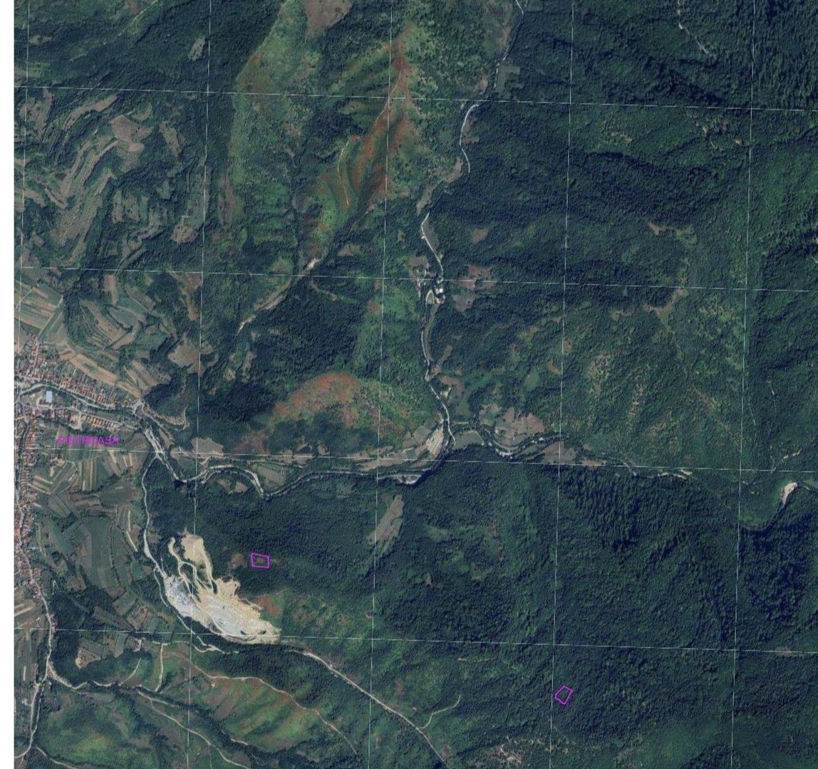 Teren pădure 64000 mp Pietroasa spre Boga - Poză 2