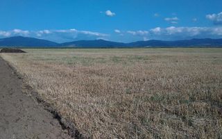 Teren extravilan Prejmer - Poză 10