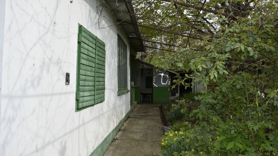 CASĂ TRADIȚIONALĂ CU GRĂDINĂ GENEROASĂ ȘI VIE – ISACCEA, JUD. TULCEA - Poză 2