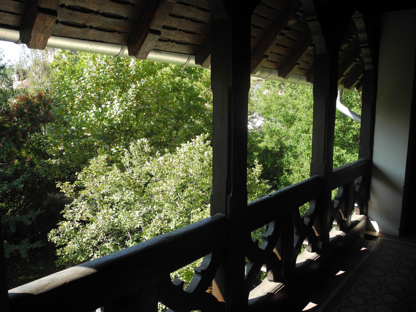 ETAJ VILA DACIA-VEDERE DIRECT PARCUL IOANID - Poză 4