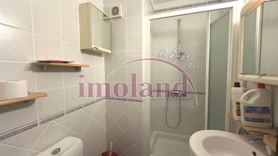 Vanzare Parter Inalt in Vila - Primaverii - Poză 9