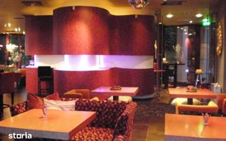 Villa de LUX - Comercial / Rezidential - zona Cioplea/Predeal - Poză 3