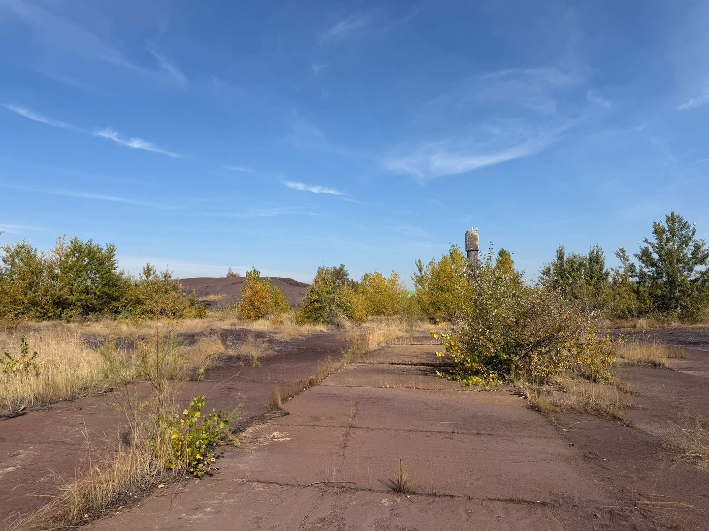 Platformă industrială 37,6 ha, Valea Călugărească cu proiect de racord feroviar - Poză 21