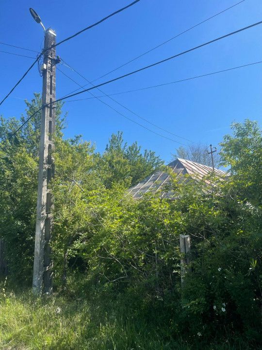 De Vanzare Gospodarie Cerbu - Poză 8