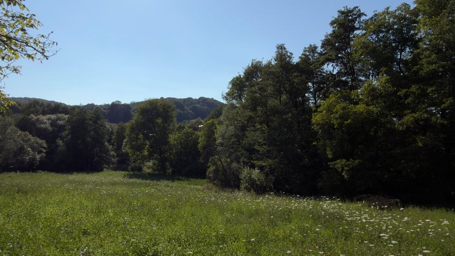 Teren Parau | Valea Danului, Curtea de Arges | Vidraru | - Poză 4