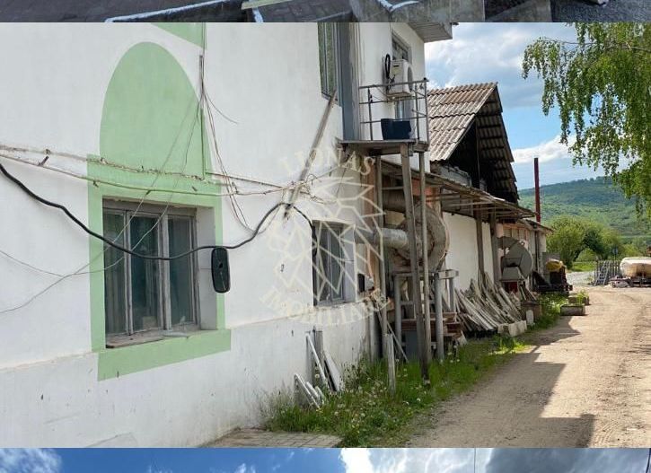 Business/Casa/Hala - 28 ari - Livezile- EXCLUSIVITATE - Poză 3