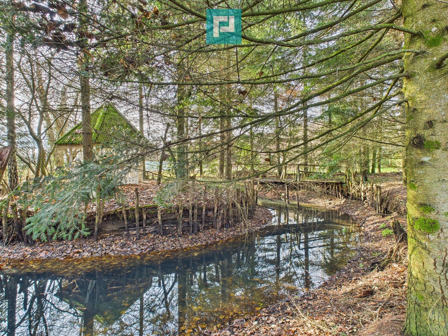 Casă P+E+M cu teren 8163 mp – Roşia Nouă (Petriş) - Poză 11