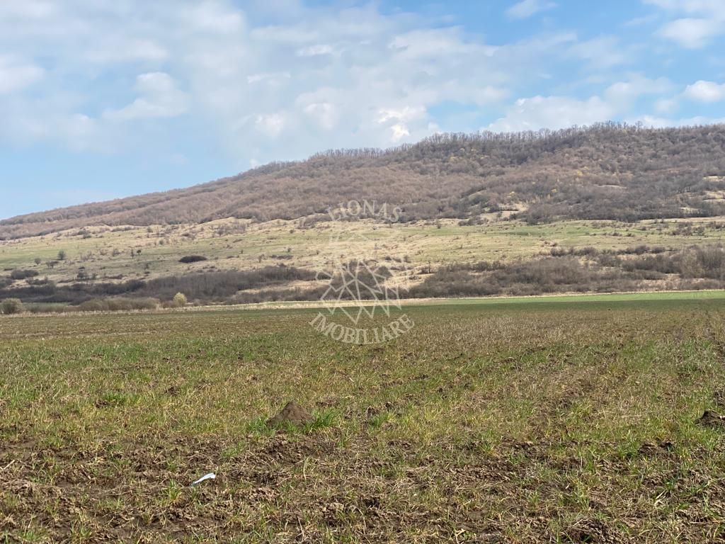 Teren Intravilan-3750mp- zona in plina dezvoltare-Podirei - Poză 1