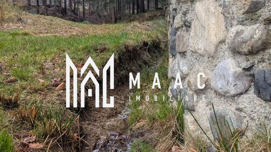 Duplex Deosebit | 194 MPU | 6 camere | Tocile - Poză 2