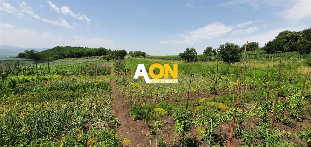 Teren De Vanzare, Zona Oarda de Sus, 2800MP - Poză 1