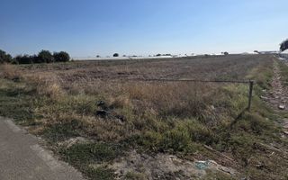 Teren 7 euro mp str asfaltata langa padure Colibasi Campurelu - Poză 4