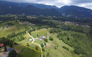 Oportunitate Investitie | Teren Pestera | 4.807mp | Utilitati Gaz/Curent - Poză 8