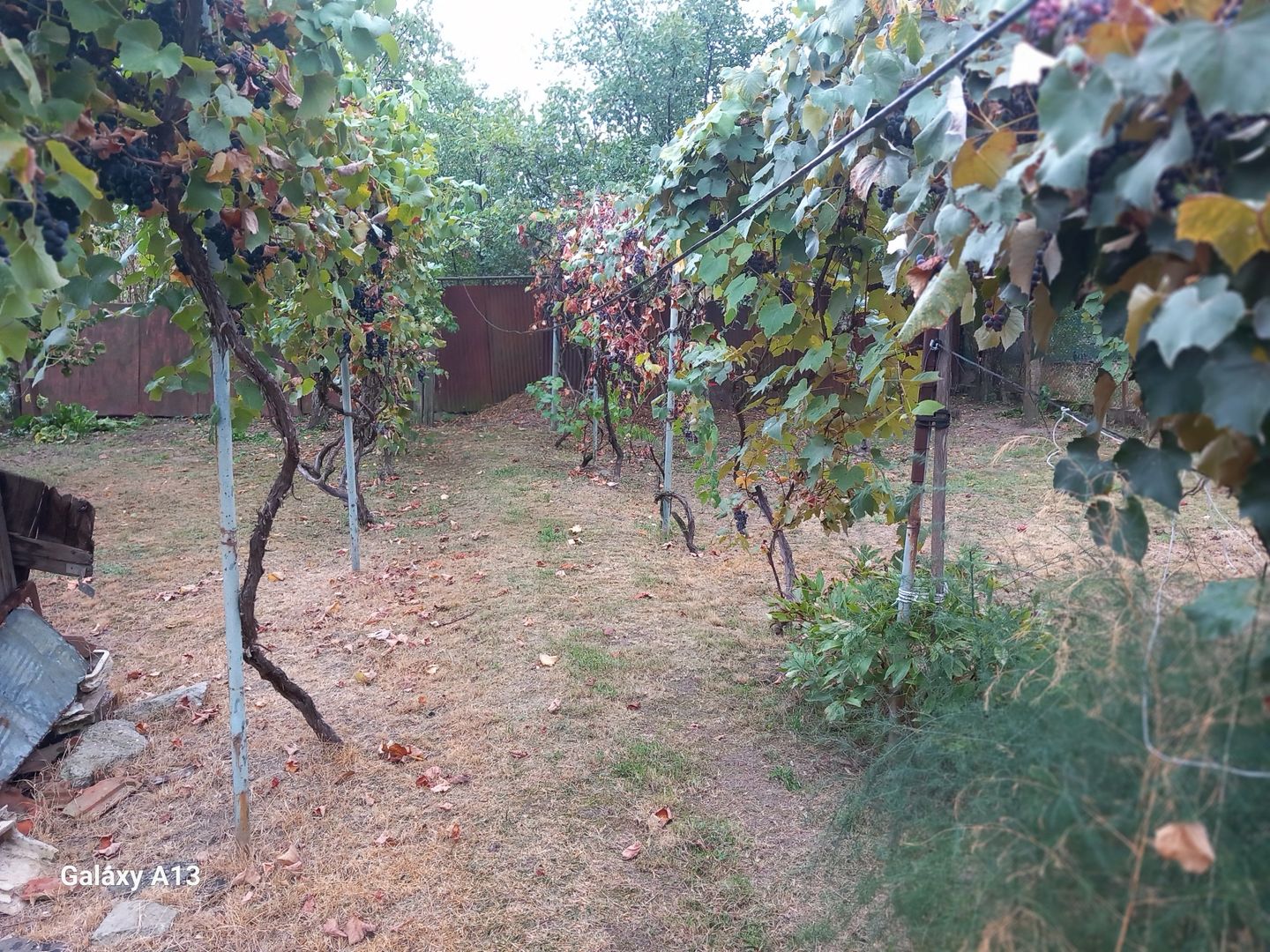 BRASADAS vinde casa 3 cam. zona Unirii teren 550mp. - Poză 6