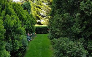 Vila unicat - vanzare - Baneasa-Liceul Francez - pret la cerere - Poză 30