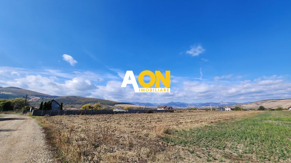 De vanzare 6000mp teren intravilan, zona Micesti - Poză 4