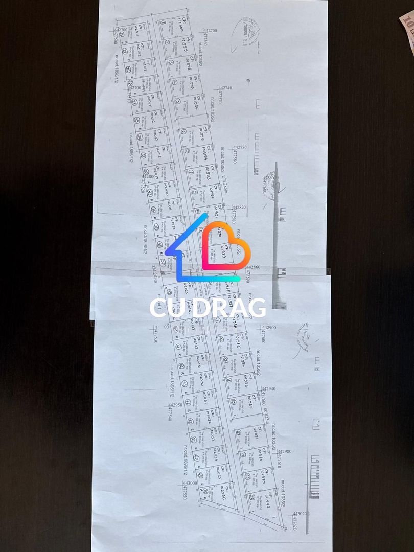 Teren intravilan cu toate utilitatile si drum amenajat Daia - Poză 5