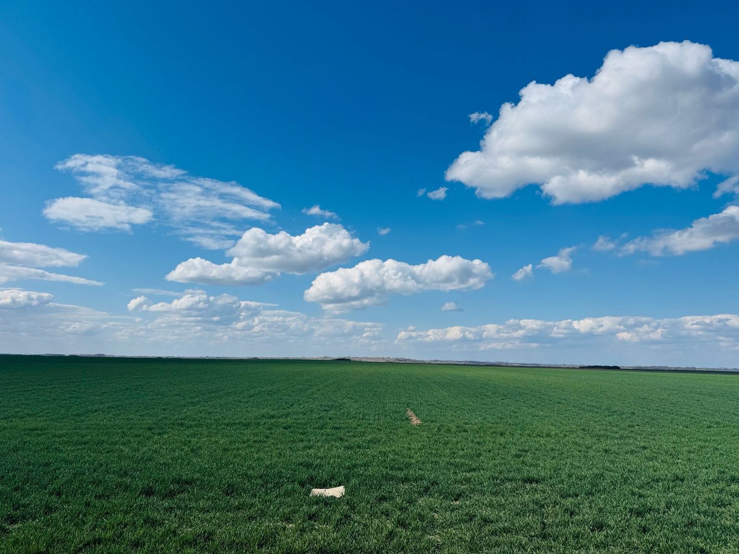 Teren extravilan 17700mp Biharia - Poză 4