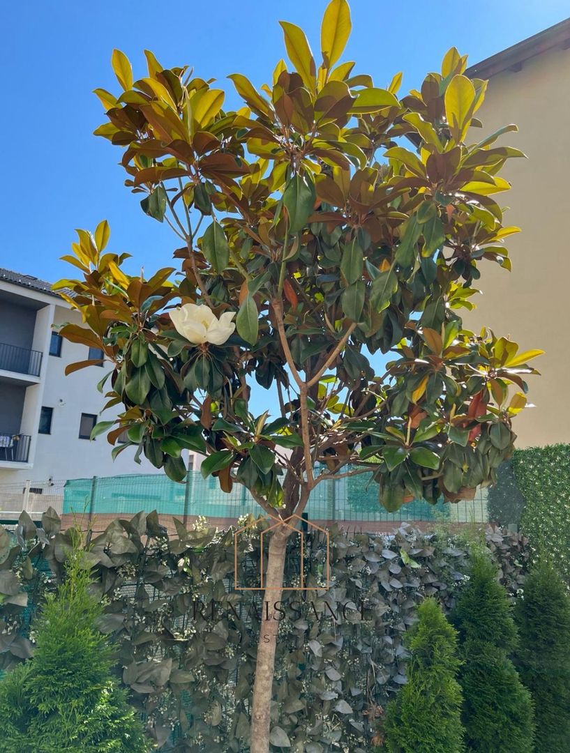 Dumbravita 2 Camere | 50mp Utili 50mp Terasa | 2 locuri de parcare - Poză 19