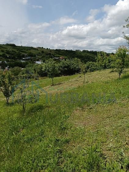 Teren intravilan de vanzare, Vorovesti, comuna Miroslava - Poză 5