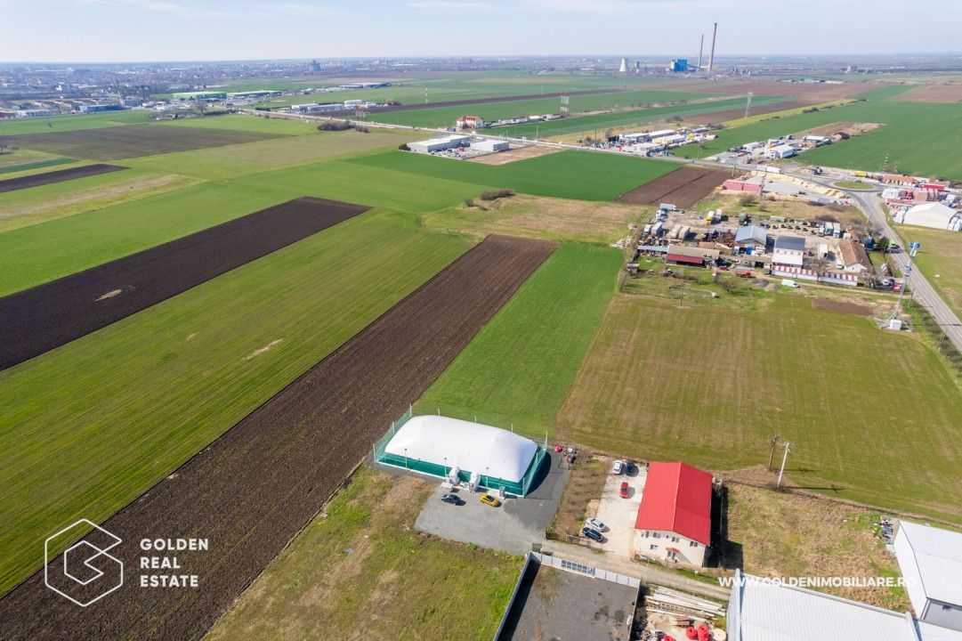 Teren extravilan, 20000 mp, Sanleani - Poză 6