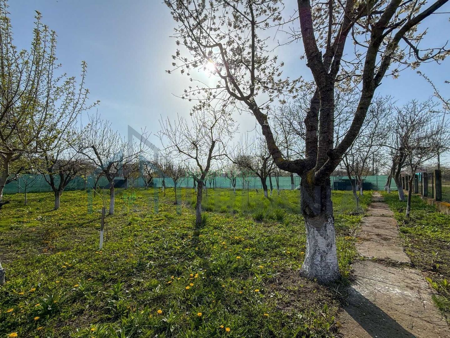 Casă cu anexă, foișor și beci pe teren de 600 mp – Țuțora, aproape de centru - Poză 3