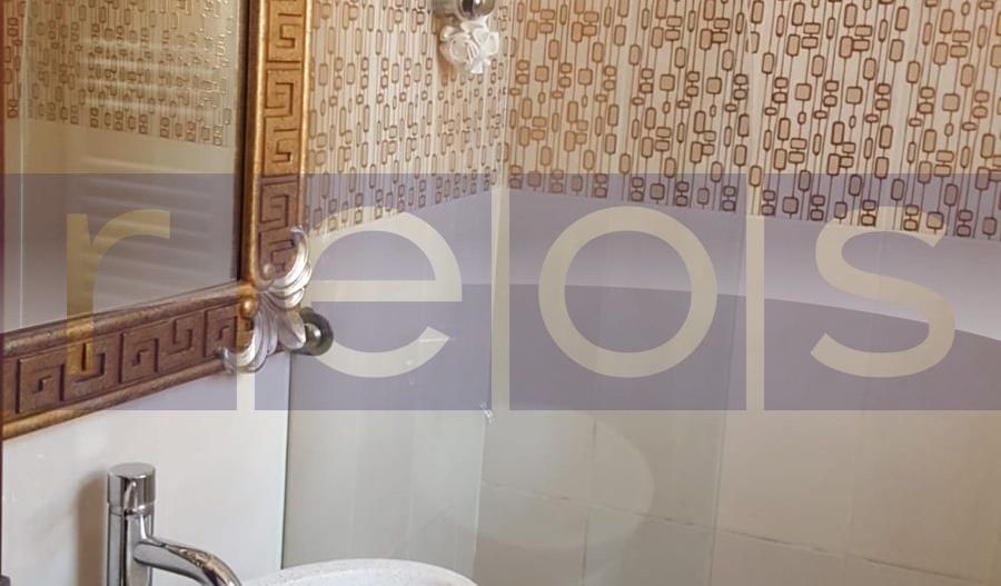 INCHIRIERE SPATIU BIROURI D+P+2 | ZONA IANCULUI - Poză 14