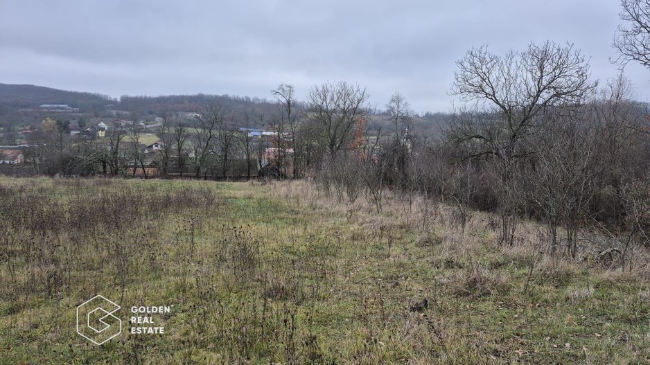 Teren intravilan, 2880 mp, comuna Sistarovat - Poză 1