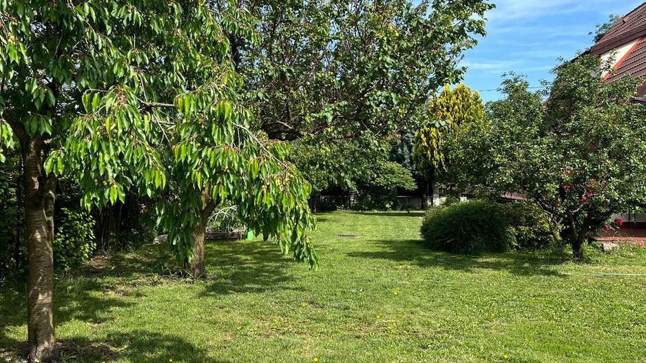 Casă elegantă, spațioasă, ideală pentru familie – Sanmihaiu Roman - Poză 33