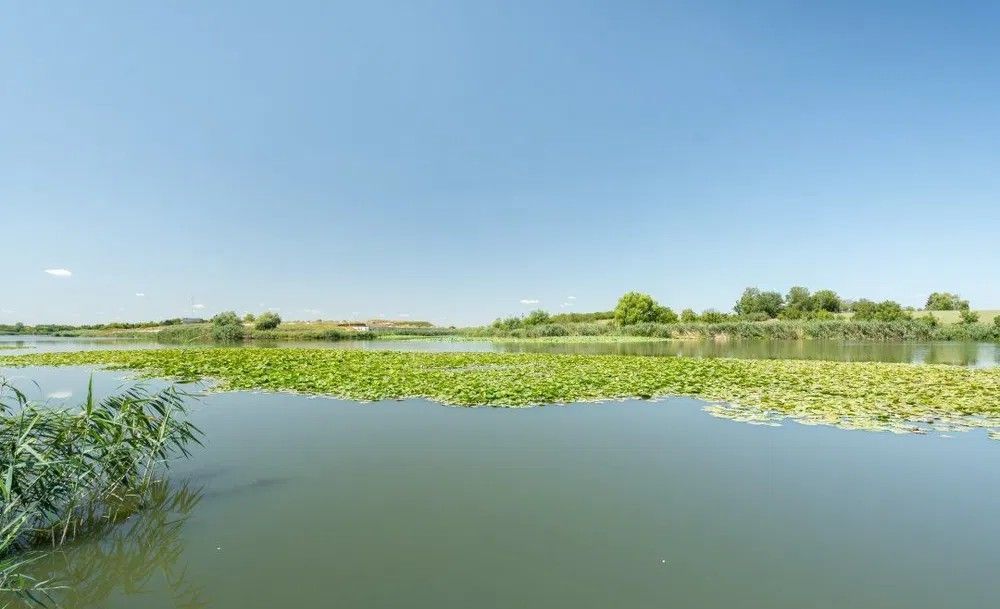 Vila exclusivistă de inchiriat | pe malul lacului Snagov - Poză 14