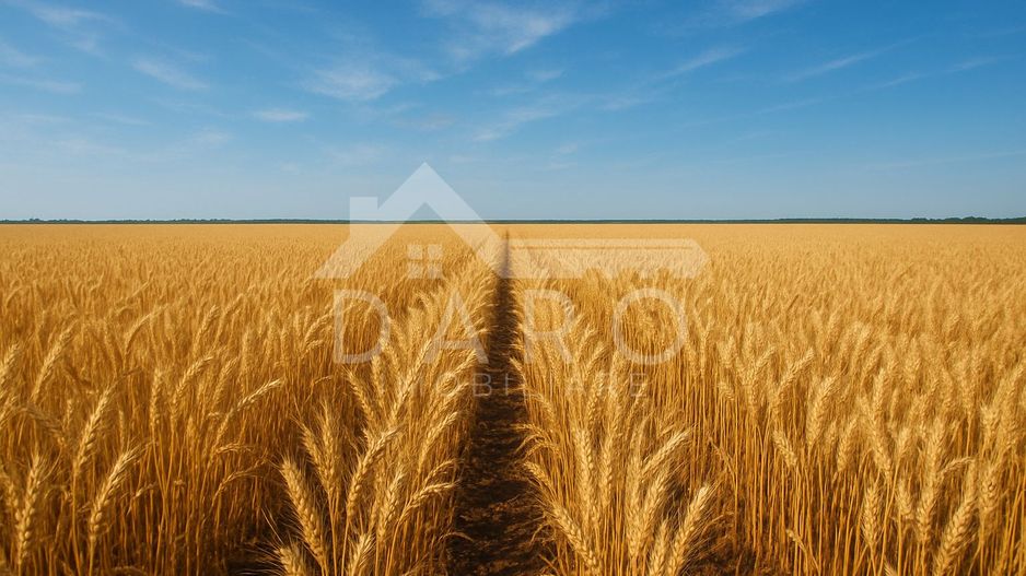 VAND TEREN ESTRAVILAN IN LOCALITATEA ZAGAR, JUDETUL MURES . - Poză 3