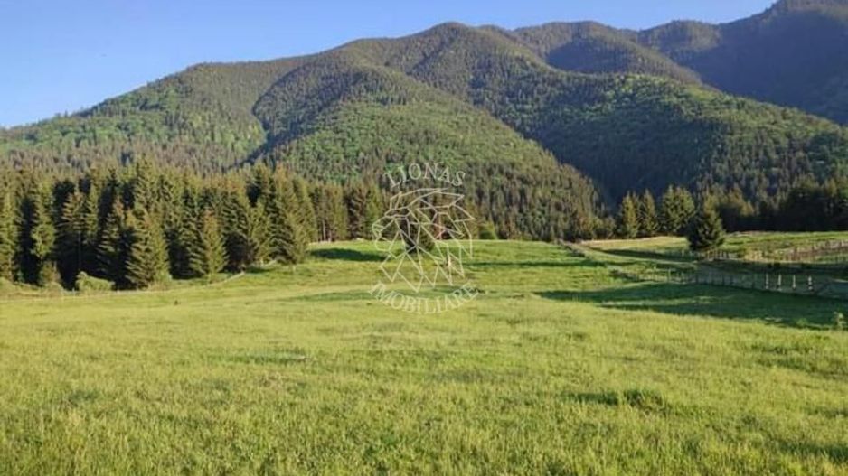 Teren PIATRA FANTANELE - 11.800 mp- ideal investitie, pensiune, hotel - Poză 3