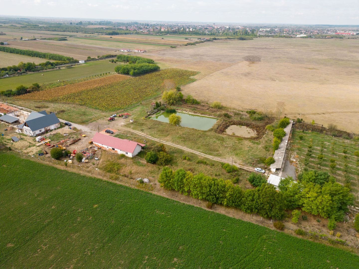 Teren intravilan cu iazuri și casă - Chișineu-Criș - Poză 21