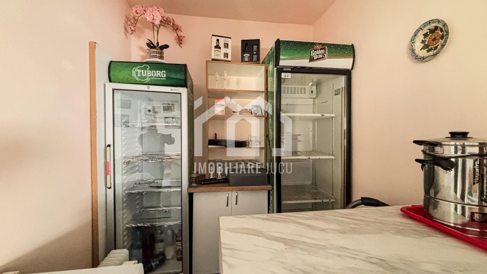 Casa individuala cu 12 camere, Potential Turistic, Visea, Comuna Jucu - Poză 23