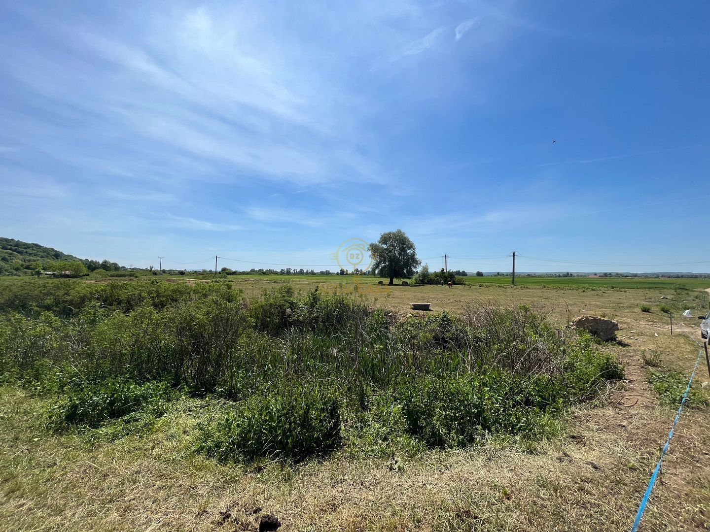 Teren 14500 MP in Sabisa langa Soseaua Principala - Poză 3